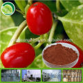 Wolfberry powder chinese wolfberry extract